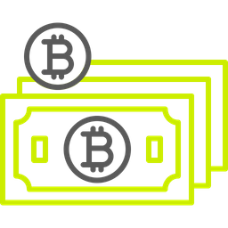 Bitcoin cash  Icon