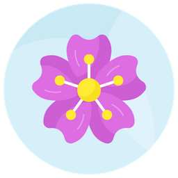 Cherry blossom  Icon