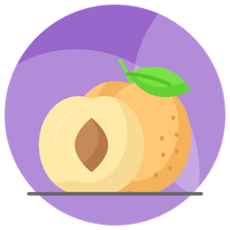 Apricots Fruit Food Icon