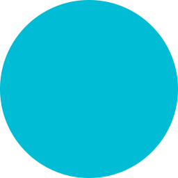 Circle  Icon