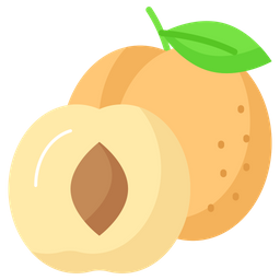 Apricots  Icon