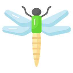 Dragonfly  Icon