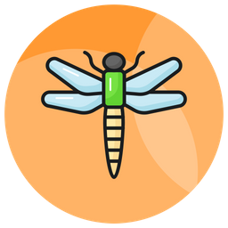 Dragonfly  Icon