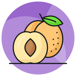 Apricots  Icon