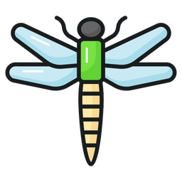 Dragonfly  Icon