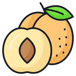 Apricots  Icon