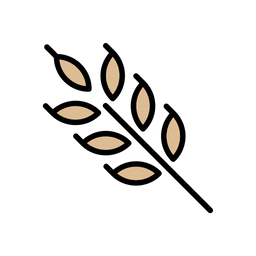 Carbohydrate  Icon