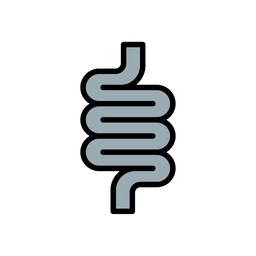 Intestines  Icon