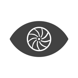 Eye  Icon