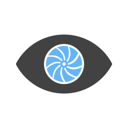 Eye  Icon