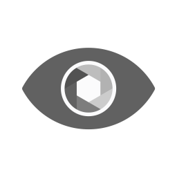 Eye  Icon