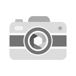 Camera  Icon