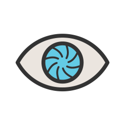 Eye  Icon