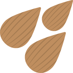 Almond  Icon