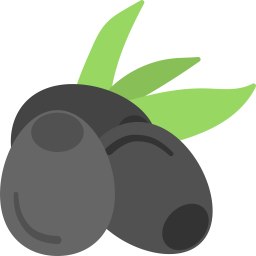 Bilberries  Icon