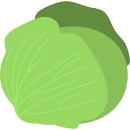 Cabbage  Icon