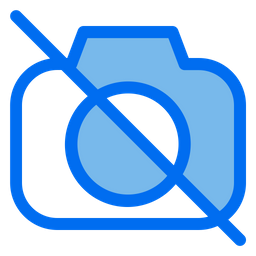 Camera  Icon