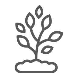 Plant  Icon