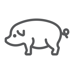 Pig  Icon