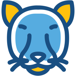 Cat  Icon