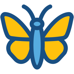 Butterfly  Icon