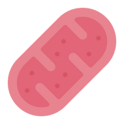 Mitochondrion  Icon