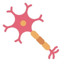 Nerve Cell  Icon