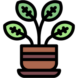 Calathea  Icon