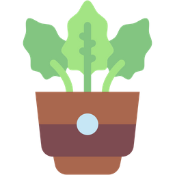 Calathea  Icon