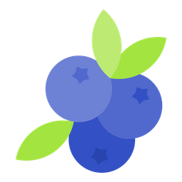 Blueberry  Icon