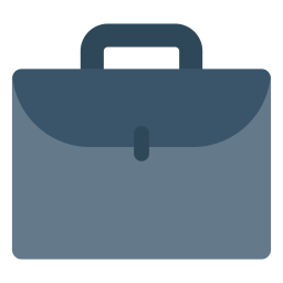 Bag  Icon