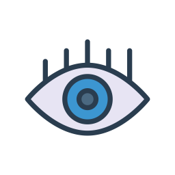 Eye  Icon