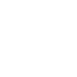 Handshake  Icon