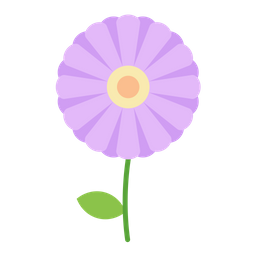 Aster  Icon