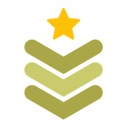 Army Chevron  Icon