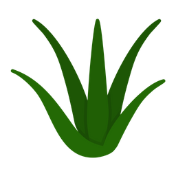 Aloevera  Icon