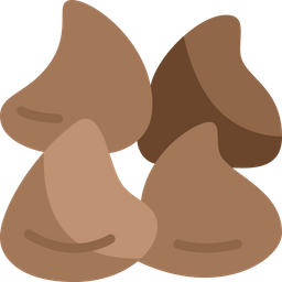 Chocolate  Icon