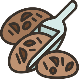 Cacao  Icon