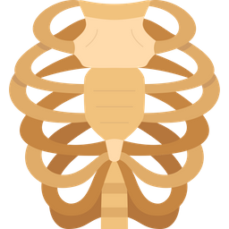 Caixa torácica  Ícone