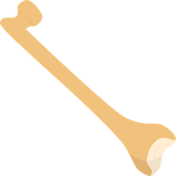 Bone  Icon