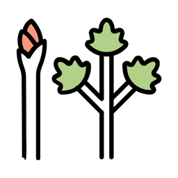 Asparagus  Icon