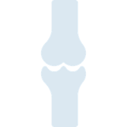 Bone  Icon