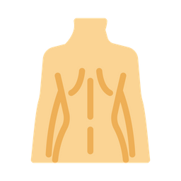 Body  Icon