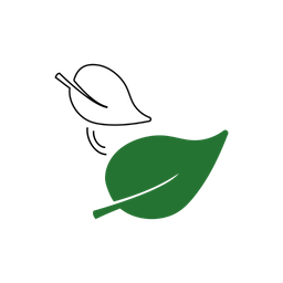 Leaf  Icon