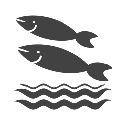 Fish  Icon