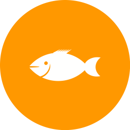 Fish  Icon