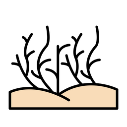 Desert Grass  Icon