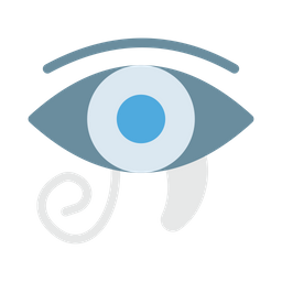 Eye  Icon