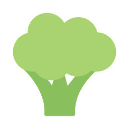 Broccoli  Icon