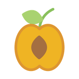 Apricot  Icon